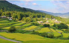 2019年02月 服部半蔵 山里の風景 展 イメージ