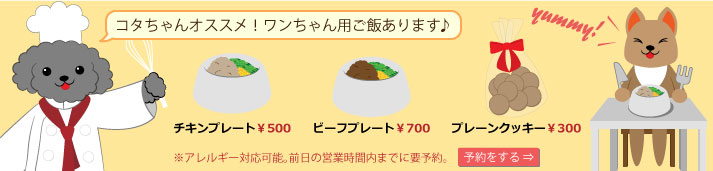 ワンちゃん用ご飯