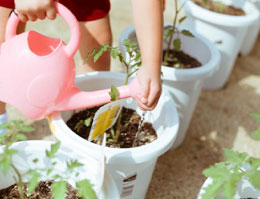 生徒が植物に水やりをしている画像